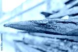 preview cold