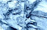 preview cold