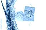 preview cold