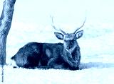 preview cold
