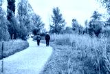 preview cold