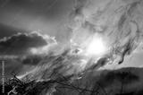 preview bw