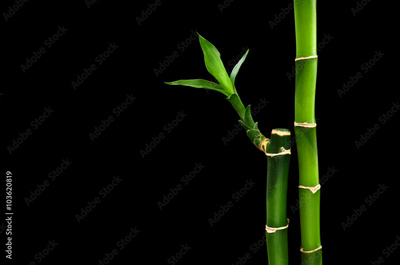 image to crop
