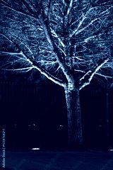 preview cold