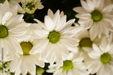 preview original