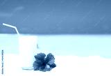preview cold