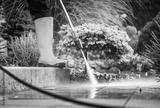 preview bw