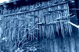 preview cold