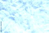 preview cold
