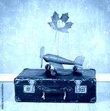 preview cold