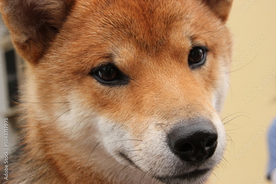 image to crop