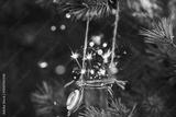 preview bw