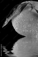 preview bw