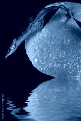 preview cold