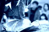 preview cold