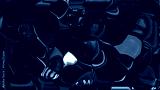 preview cold