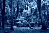 preview cold