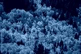 preview cold