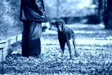 preview cold