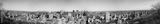 preview bw