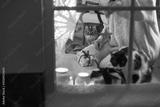 preview bw