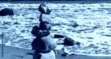 preview cold