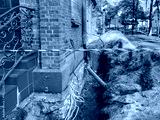 preview cold