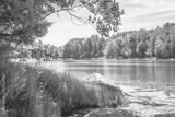 preview bw