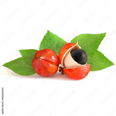 image to crop
