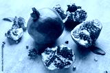 preview cold