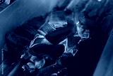 preview cold