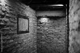 preview bw
