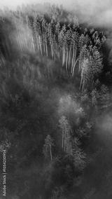 preview bw