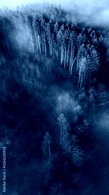 preview cold
