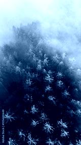 preview cold