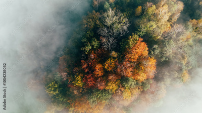 image to crop