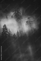preview bw