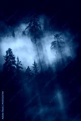 preview cold