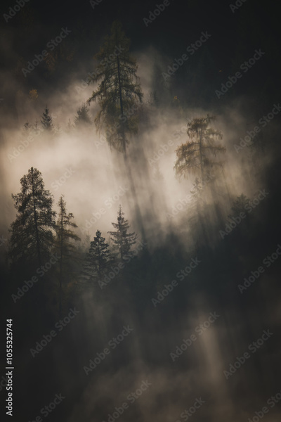 image to crop