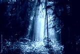 preview cold