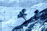 preview cold