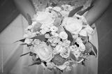 preview bw