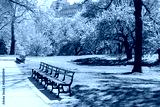 preview cold