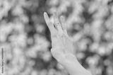 preview bw