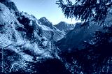 preview cold
