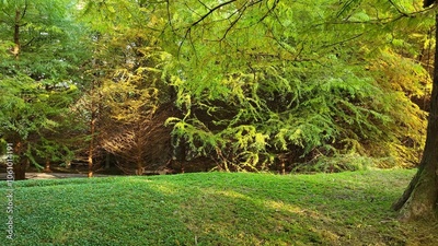 image to crop