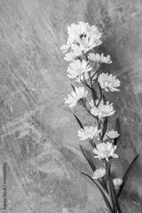 preview bw
