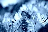 preview cold