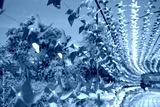 preview cold