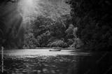 preview bw